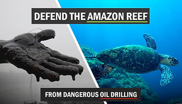 amazon-reef-fb-share-image.jpg